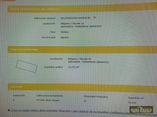 FINCA EN VENTA EN TORREMEJIA