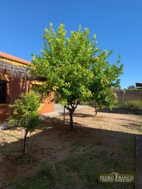 CHALET EN VENTA EN ALMENDRALEJO (SAN MARCOS(ERMITA-OLIVOS-TIZA-RESTO))