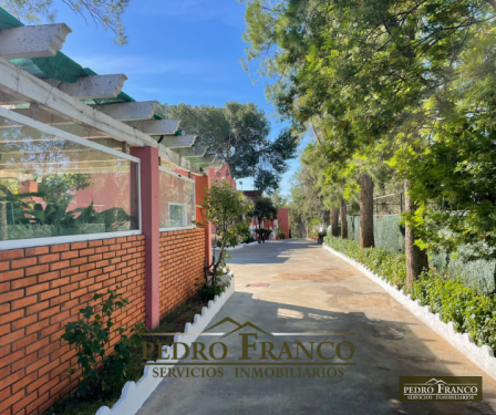 COMPLEJO HOSTELERO (LOCAL-VIVIENDA) EN VENTA EN ALMENDRALEJO (SAN MARCOS)