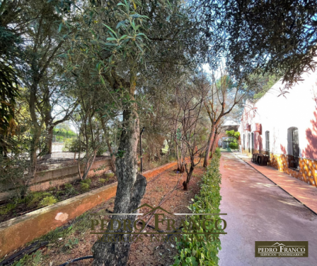 COMPLEJO HOSTELERO (LOCAL-VIVIENDA) EN VENTA EN ALMENDRALEJO (SAN MARCOS)