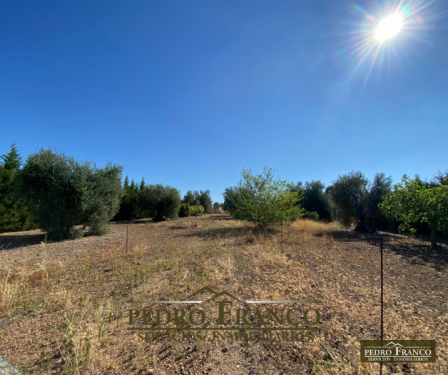 CHALET EN VENTA EN ALMENDRALEJO (SAN MARCOS)