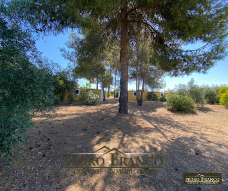 CHALET EN VENTA EN ALMENDRALEJO (SAN MARCOS)