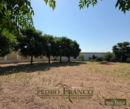 CHALET EN VENTA EN ALMENDRALEJO (SAN MARCOS)