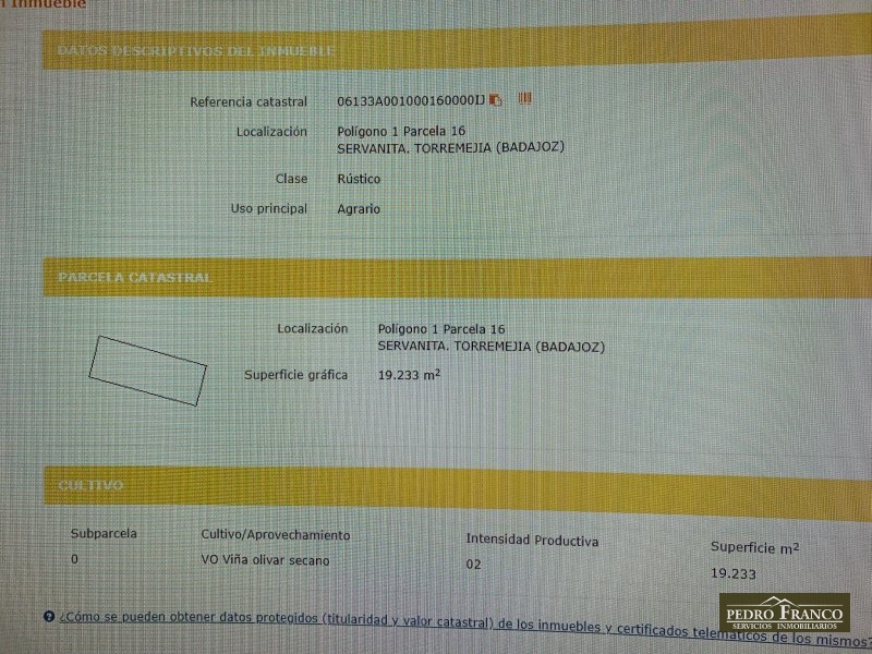 FINCA EN VENTA EN TORREMEJIA