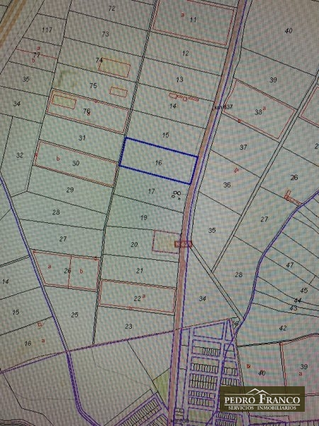 FINCA EN VENTA EN TORREMEJIA