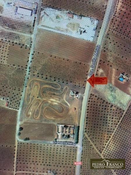 FINCA EN VENTA EN TORREMEJIA