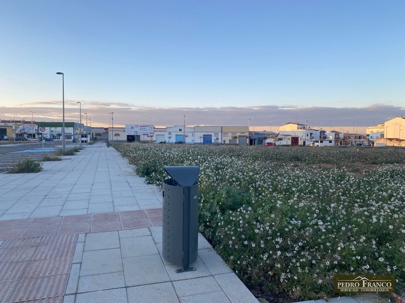 PARCELA URBANA EN VENTA EN ALMENDRALEJO (CRTA.ACEUCHAL)