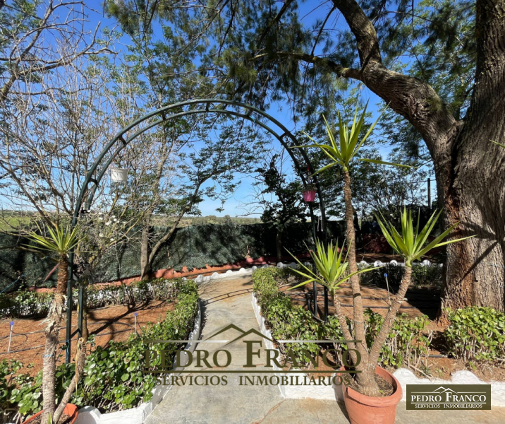 COMPLEJO HOSTELERO (LOCAL-VIVIENDA) EN VENTA EN ALMENDRALEJO (SAN MARCOS)