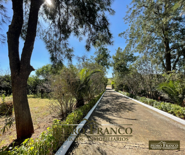 COMPLEJO HOSTELERO (LOCAL-VIVIENDA) EN VENTA EN ALMENDRALEJO (SAN MARCOS)