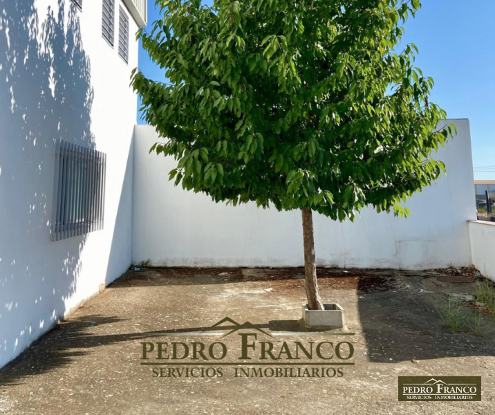 NAVE EN VENTA EN ALMENDRALEJO (LA FAROLA)